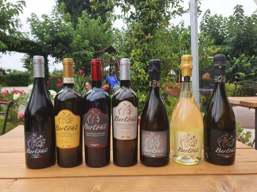 Degustazione dei nostri vini e abbinamenti del Parco