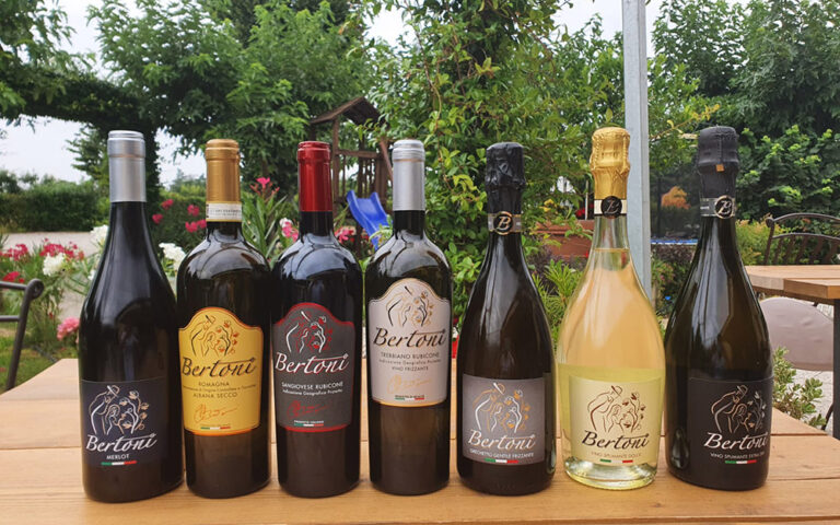 Degustazione dei nostri vini e abbinamenti del Parco